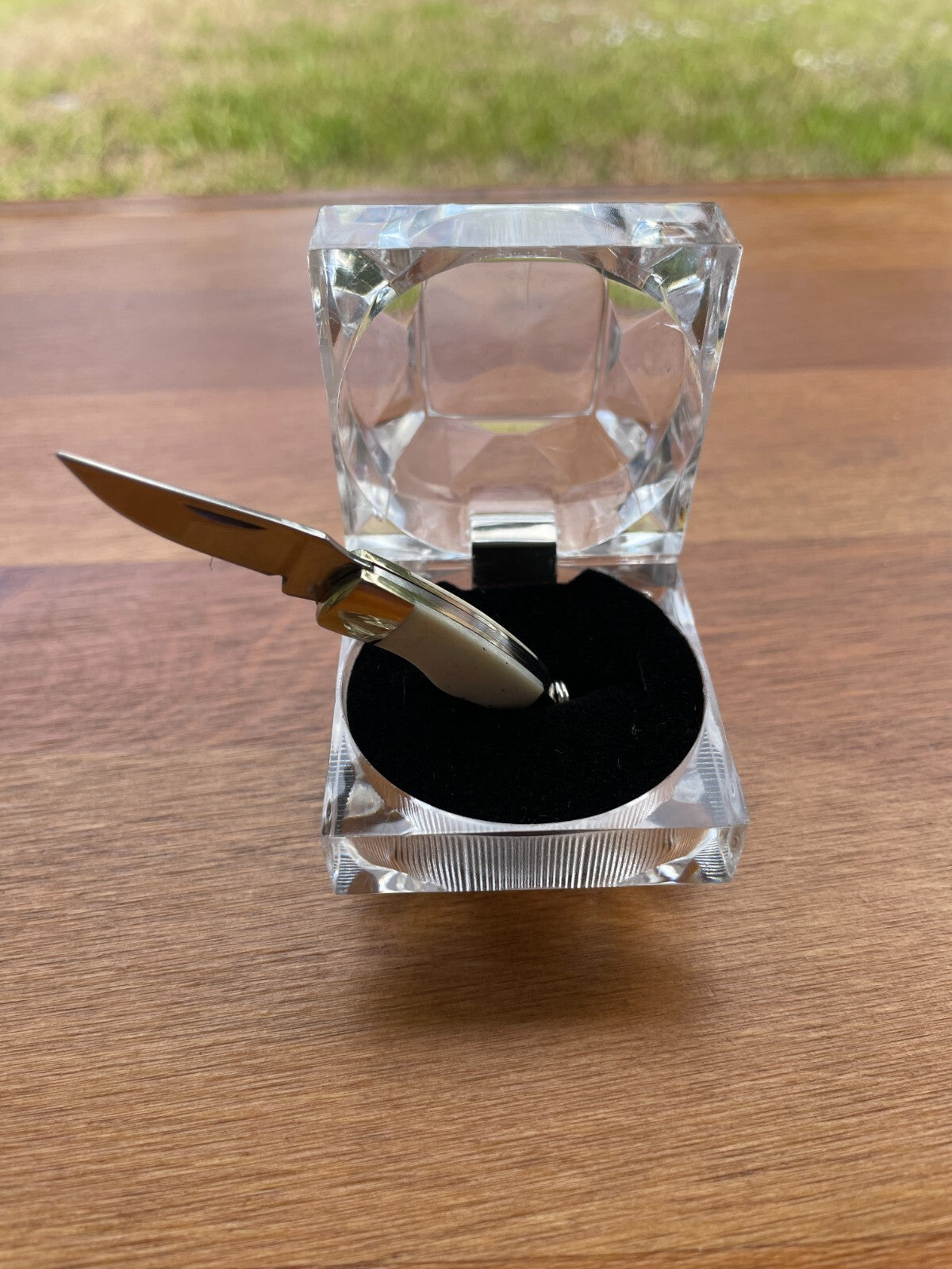 2.8" Full Length Miniature Pocket Knife 420 Steel Bone Scales Gift Box