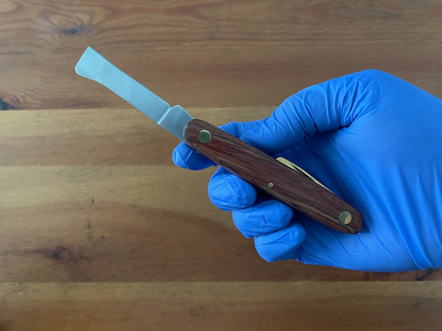 2.4" Grafting Navaja Pocket Knife 2nd Brass Blade with Rosewood Handle - Spain