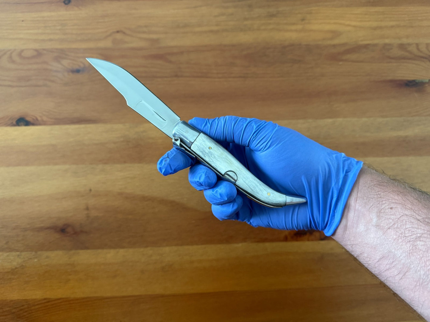 3.7" Spanish Navaja Teja Albacete Folding Pocket Knife Genuine Bull Horn Scales