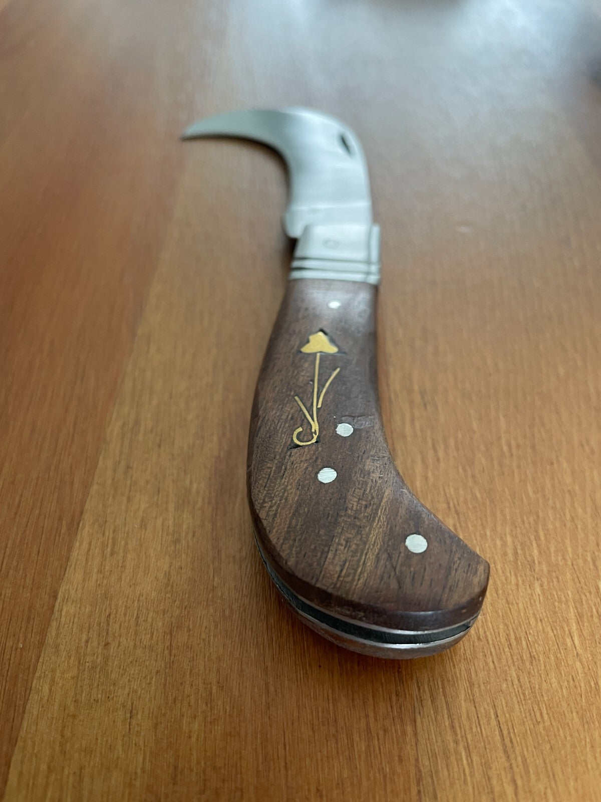 Hawkbill Skinning Tranchete Pocket Knife Stainless Blade 2.3" - From Spain