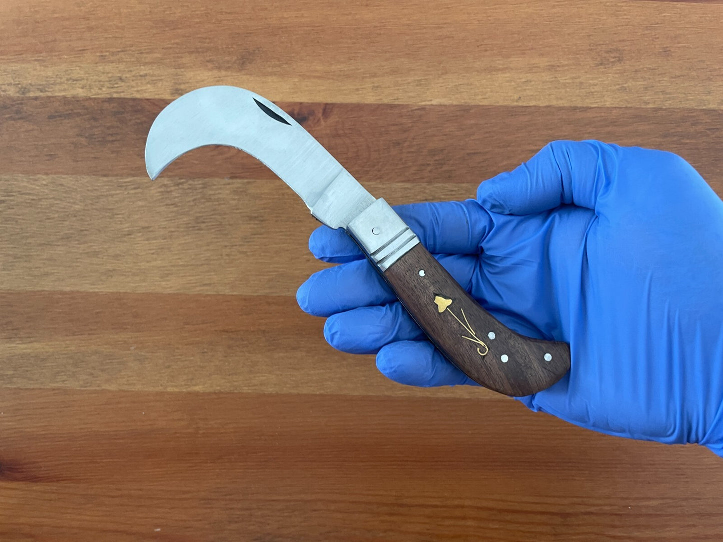 Hawkbill Skinning Tranchete Pocket Knife Stainless Blade 2.3" - From Spain