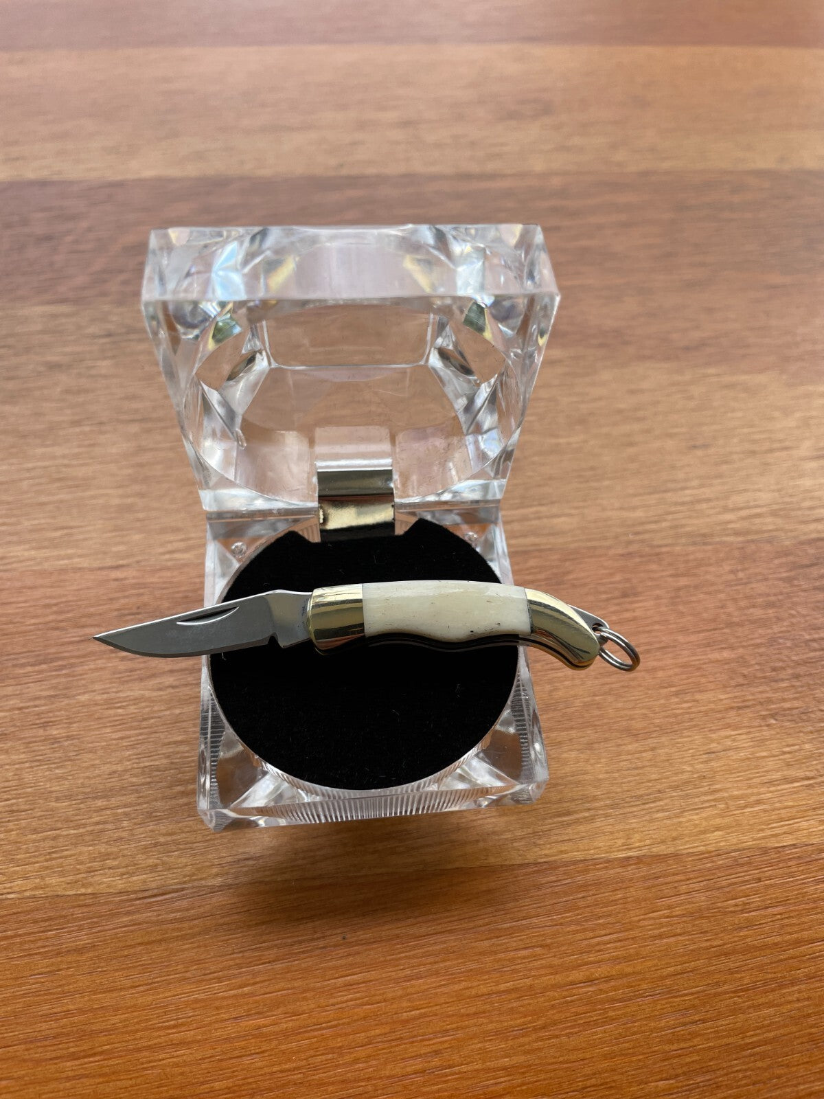 2.8" Full Length Miniature Pocket Knife 420 Steel Bone Scales Gift Box