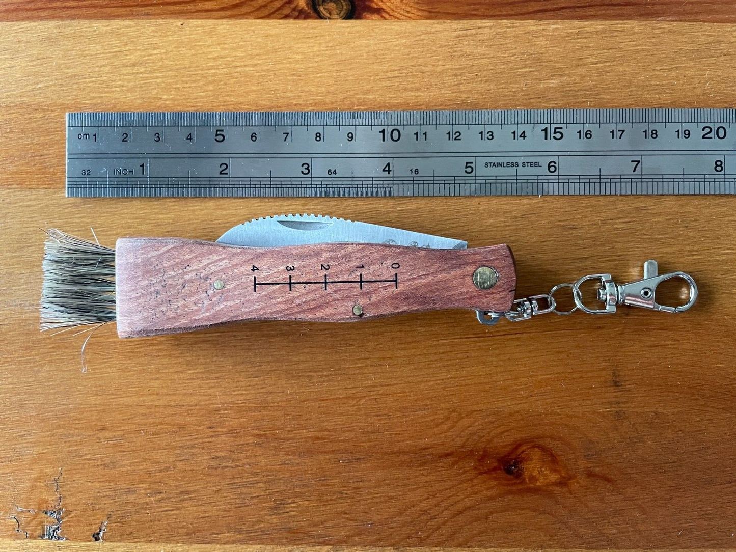 Mushroom Brown Wood Handles Pocket Knife with Brush and Sheath from Spain - USA