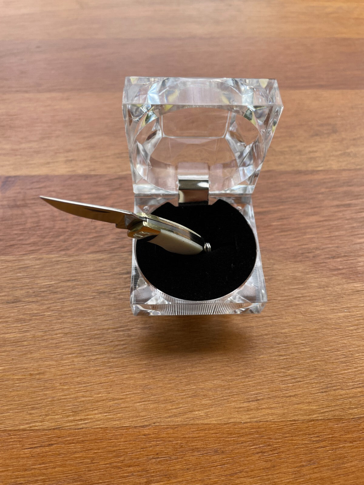 2.8" Full Length Miniature Pocket Knife 420 Steel Bone Scales Gift Box