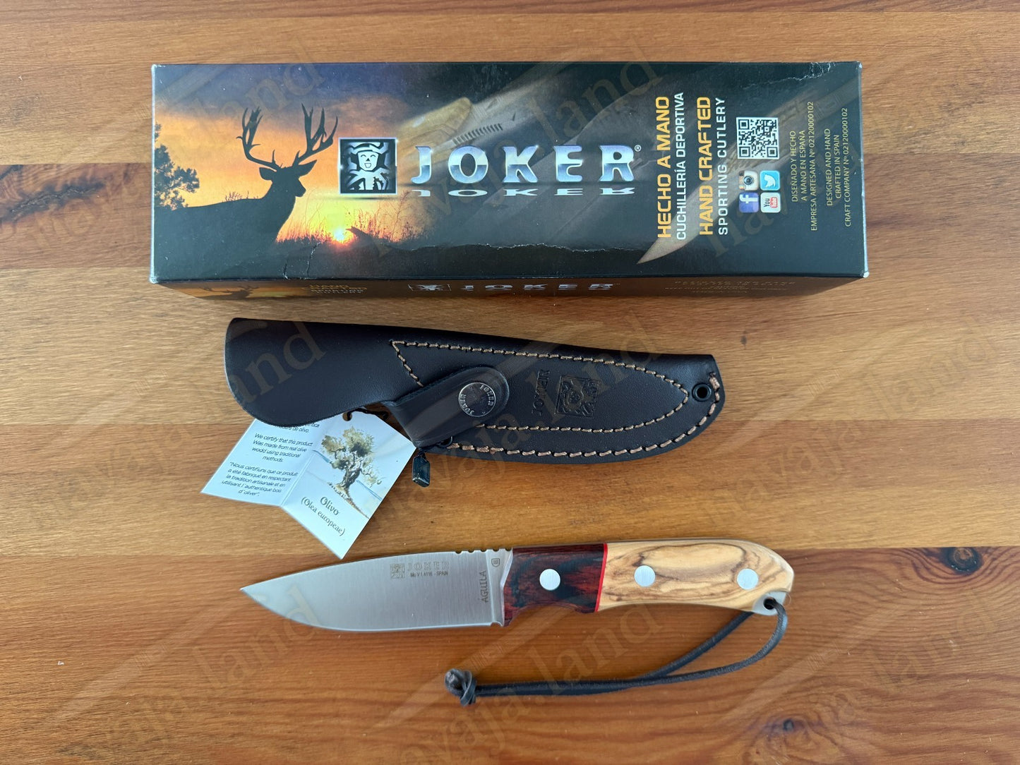 Joker Aguila Bushcraft Knife 4.13” MOVA Blade Olive Wood & Rosewood Handle