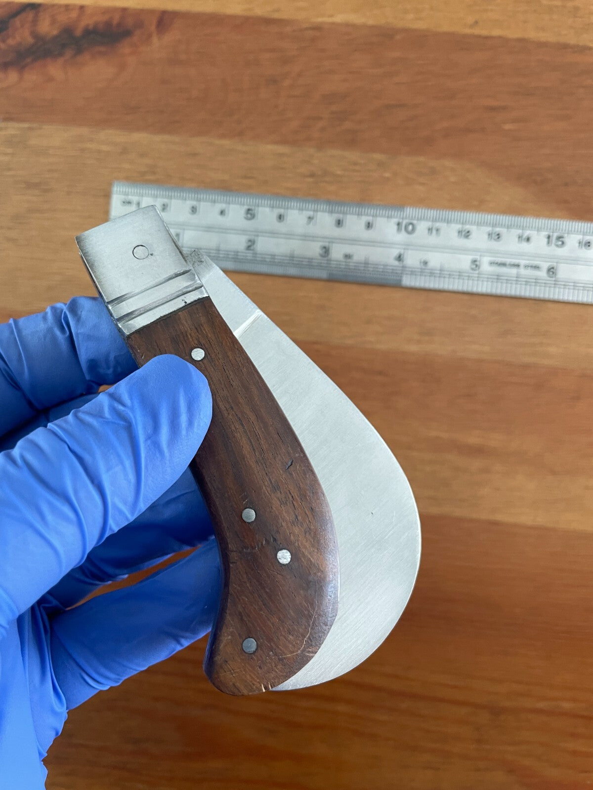 Hawkbill Skinning Tranchete Pocket Knife Stainless Blade 2.3" - From Spain