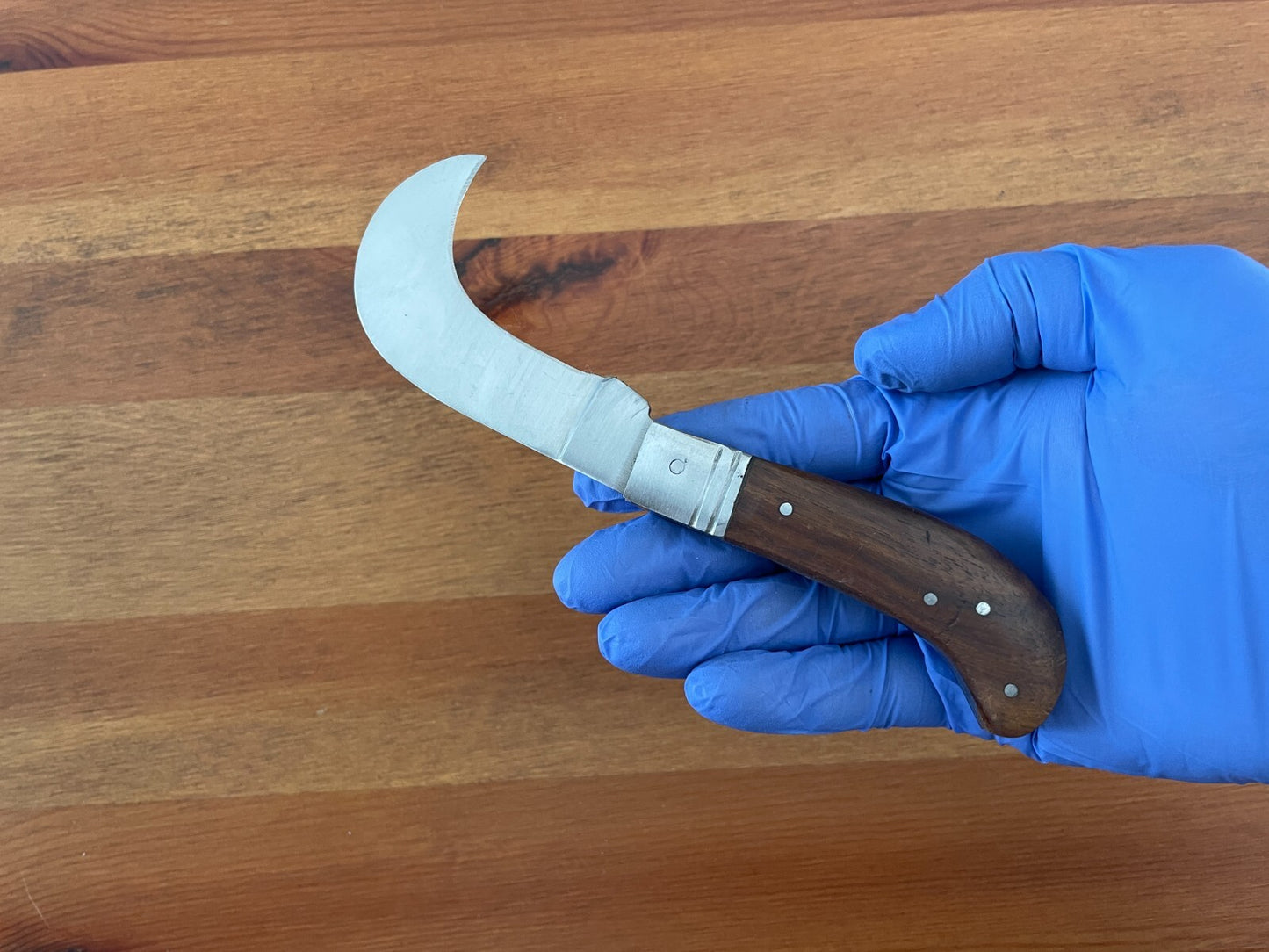 Hawkbill Skinning Tranchete Pocket Knife Stainless Blade 2.3" - From Spain