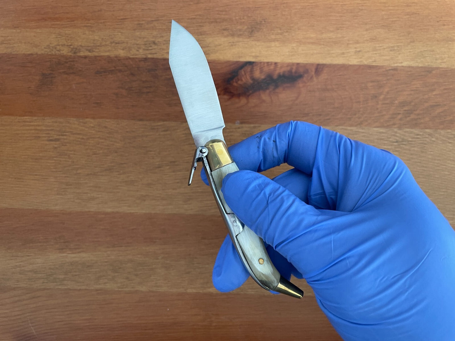 2.5” Celaya Spanish Navaja Teja Albacete Pocket Knife Bullhorn Scales