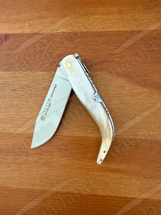 3.15” Joker Pastora Folding Knife Bull Horn Handle MOVA 1.4116 Stainless Steel