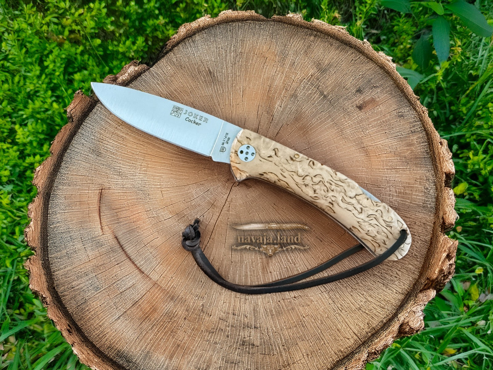 Joker Cocker Folding Knife 3.5” MOVA Blade Curly Brich Wood Handle From Spain