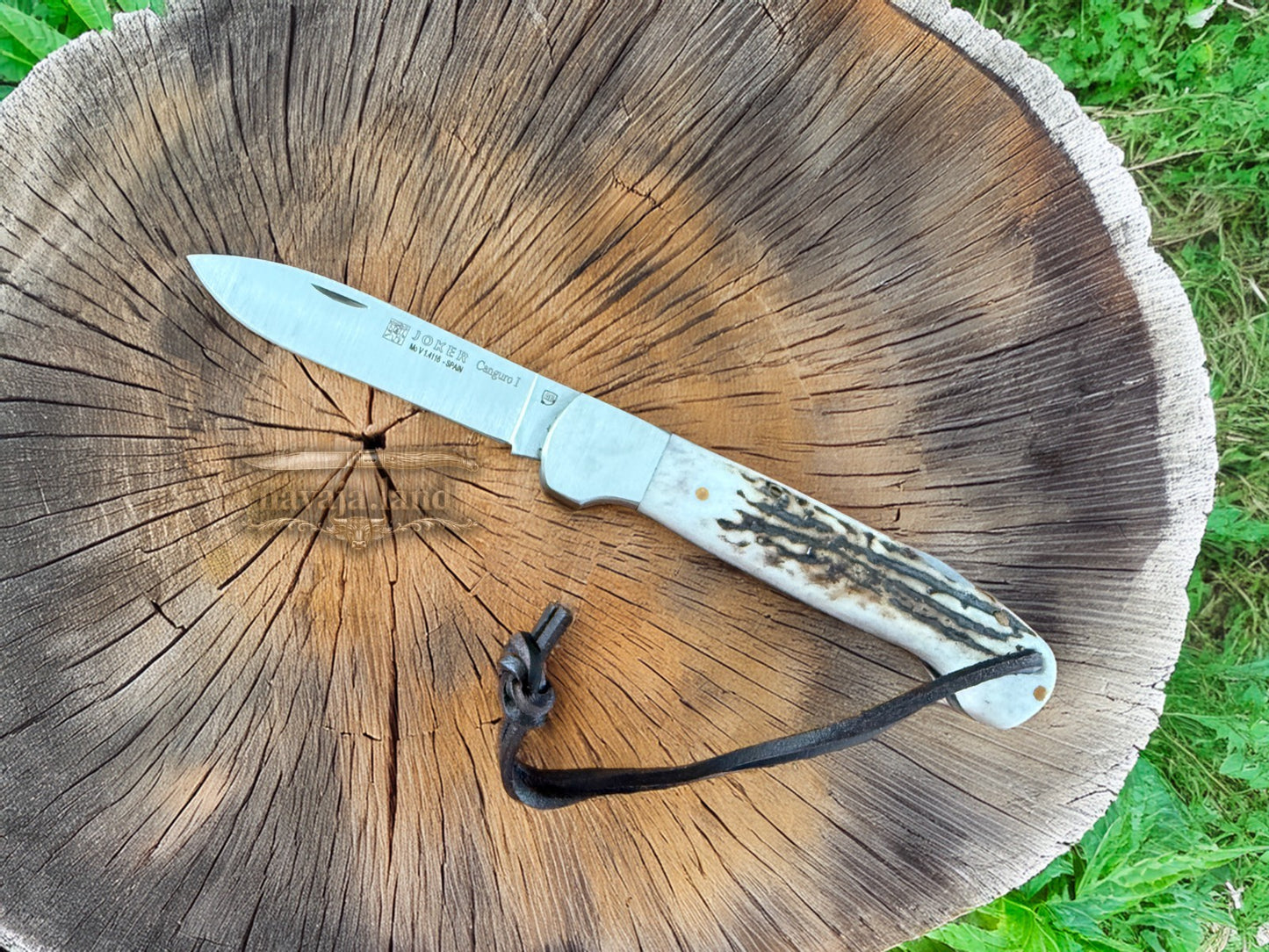Joker Canguro Folding Knife 🦌 Deer Horn Handle 3.3” MOVA 1.4116 Stainless Steel