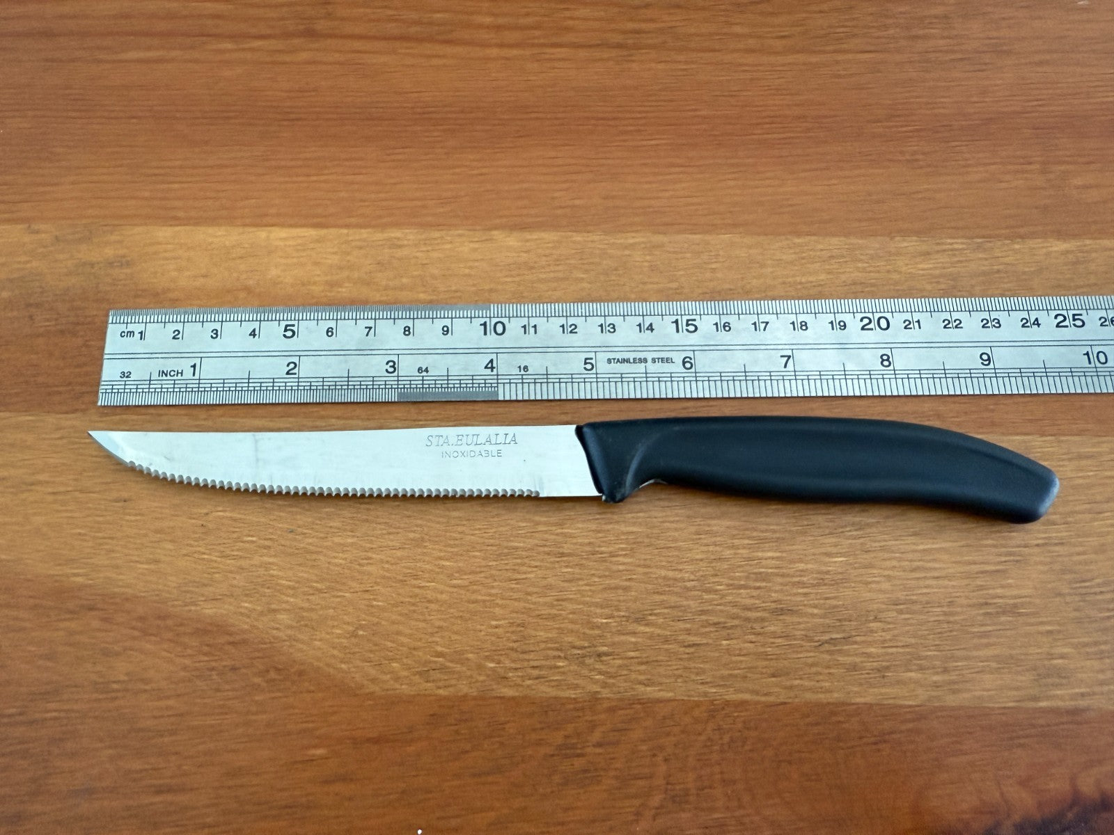 Table Knife with Injected Handle – Stainless Steel Serrated Blade From Spain