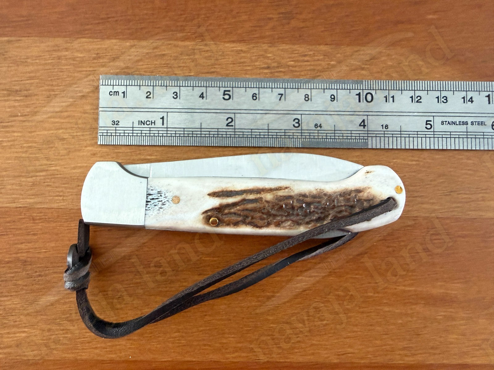 Joker Canguro Folding Knife 🦌 Deer Horn Handle 3.3” MOVA 1.4116 Stainless Steel