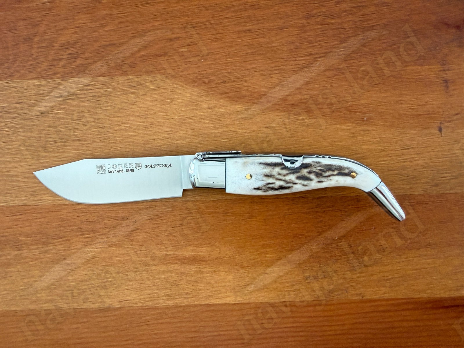 3.2” Joker Pastora Folding Knife Stag Horn Handle MOVA 1.4116 Stainless Steel
