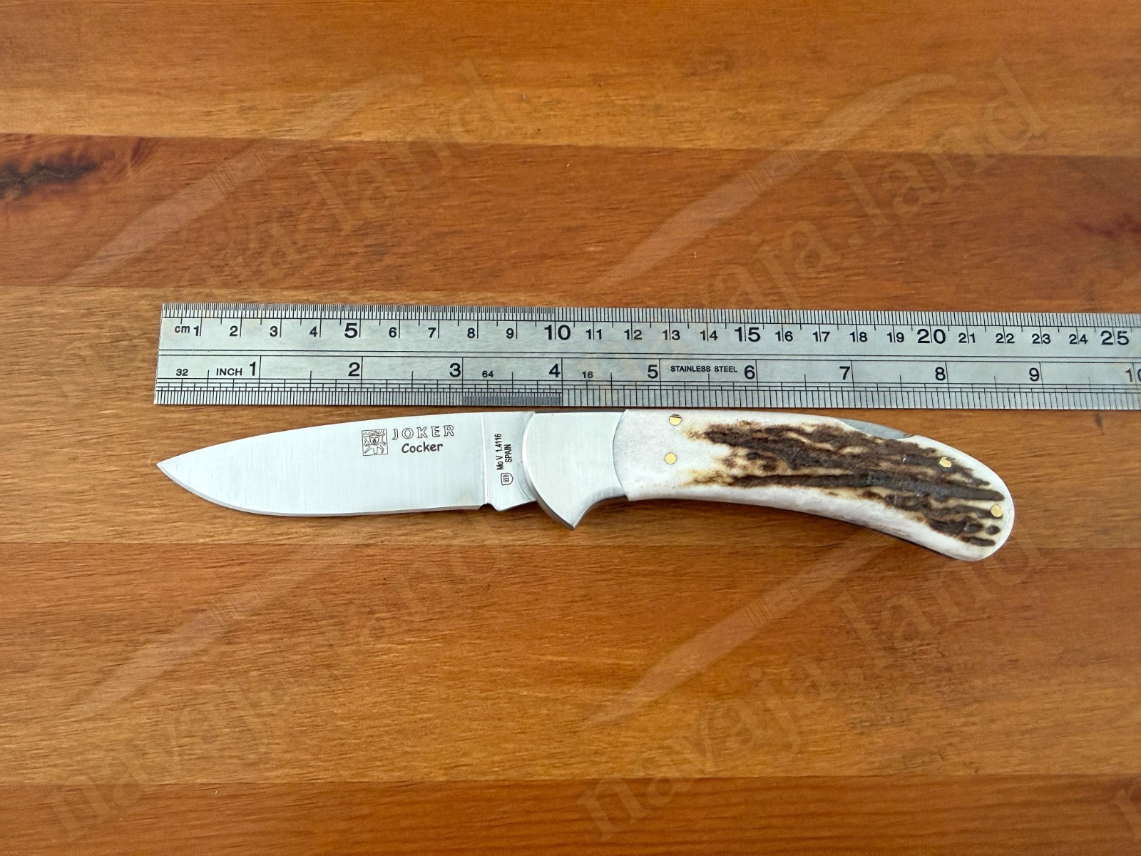 Joker Cocker Hunting Folding Knife 3.5” MOVA Blade Deer Antler Handle From Spain