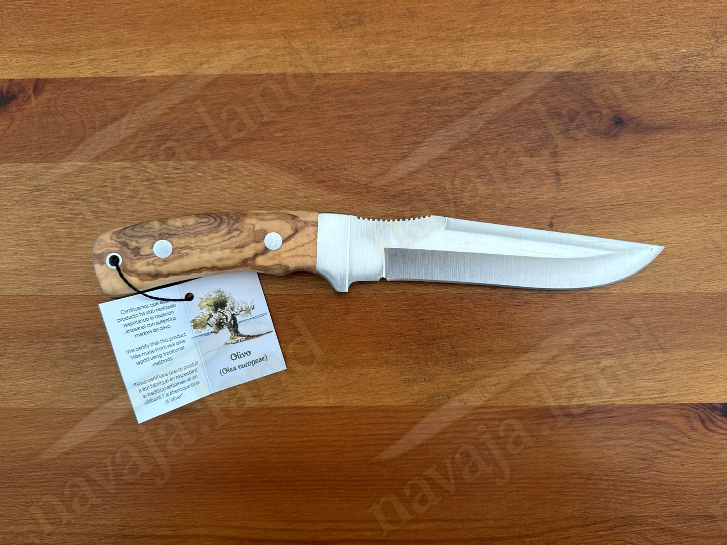 Joker Gamo Fixed Blade Hunting Knife 6.10" Mova 1.4116 Steel Olive Wood Handle