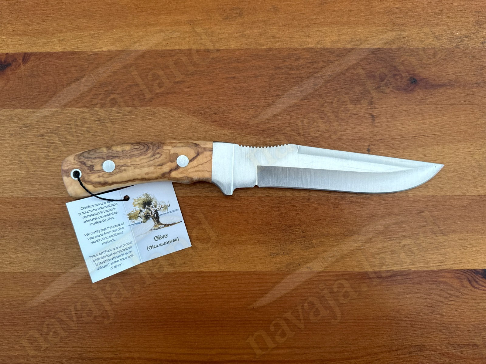 Joker Gamo Fixed Blade Hunting Knife 6.10" Mova 1.4116 Steel Olive Wood Handle