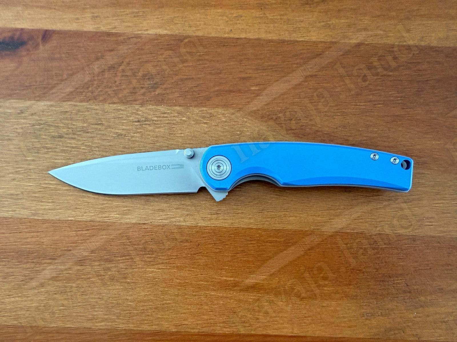 The Sea Lion Folding Pocket Knife 3” D2 Steel Blade Aluminum Alloy Handle
