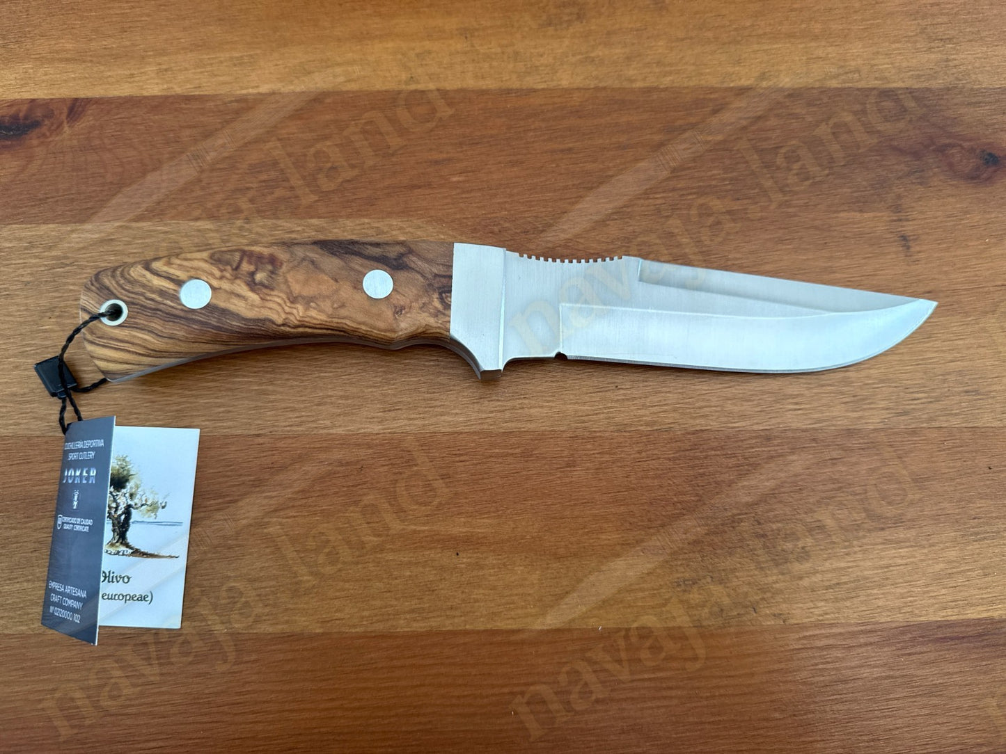 Joker Gamo Fixed Blade Hunting Knife 5.12" Mova 1.4116 Steel Olive Wood Handle