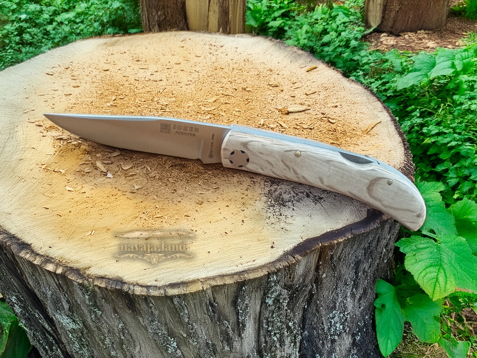 3.54” Joker Pointer Camping Folding Knife (Holm Oak Wood Handle) Made in Spain