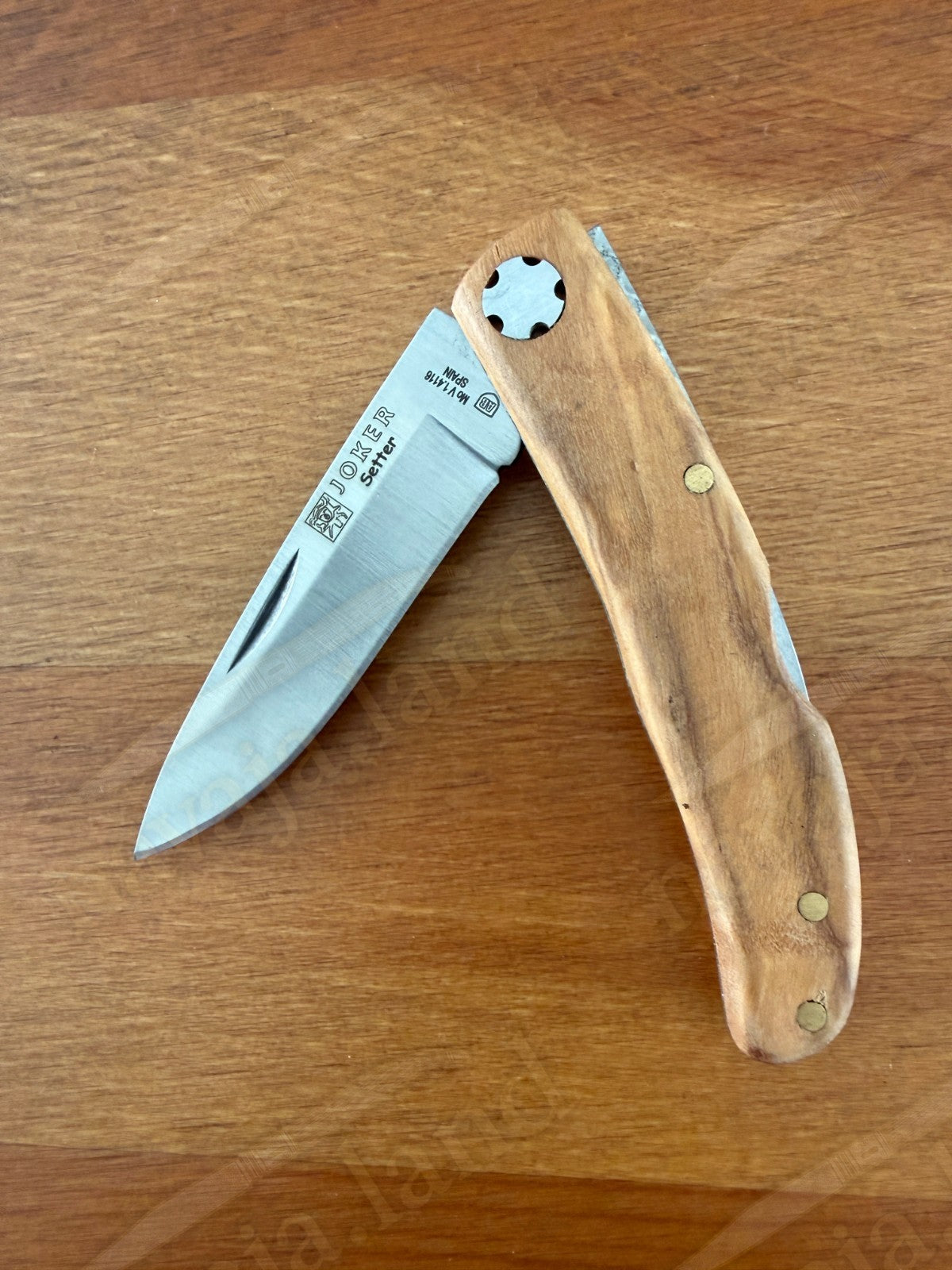 3.15” Joker Setter Bushcraft Folding Knife (Olive Wood Handle) Handmade Spain