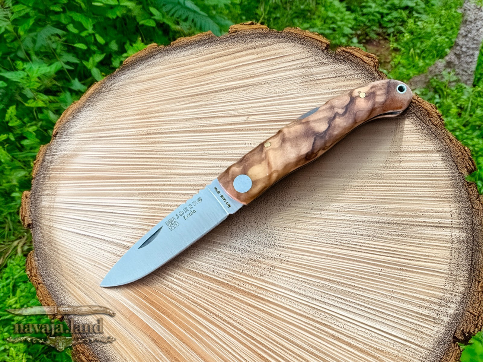 Joker Koala Pocket Knife 2.75” MOVA Blade Olive Wood Handle Handmade in Spain