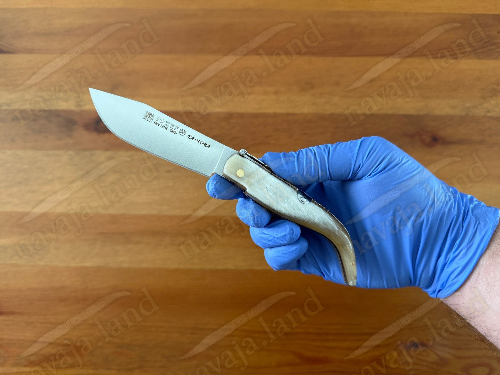 3.15” Joker Pastora Folding Knife Bull Horn Handle MOVA 1.4116 Stainless Steel