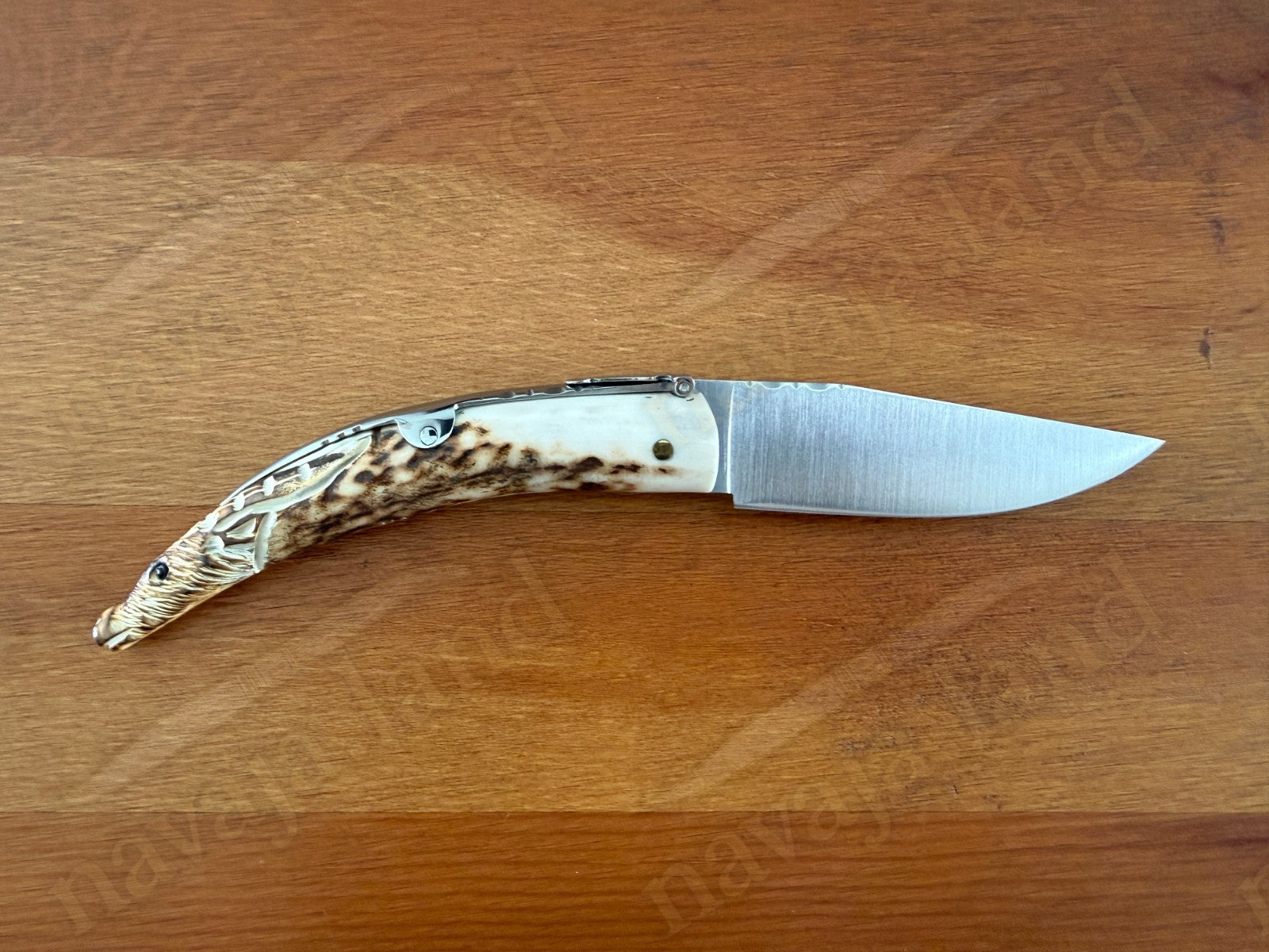 Joker Macho Montés Folding Knife – Hand Carved Deer Antler | 3.3" MOVA Steel