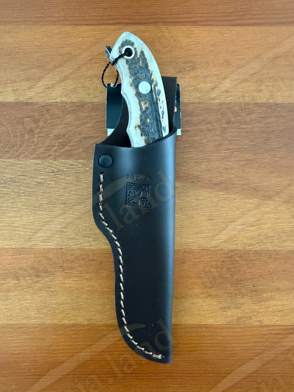 3.5" Joker Teckel Bushcraft Knife Deer Horn Handle | Full Tang | Leather Sheath