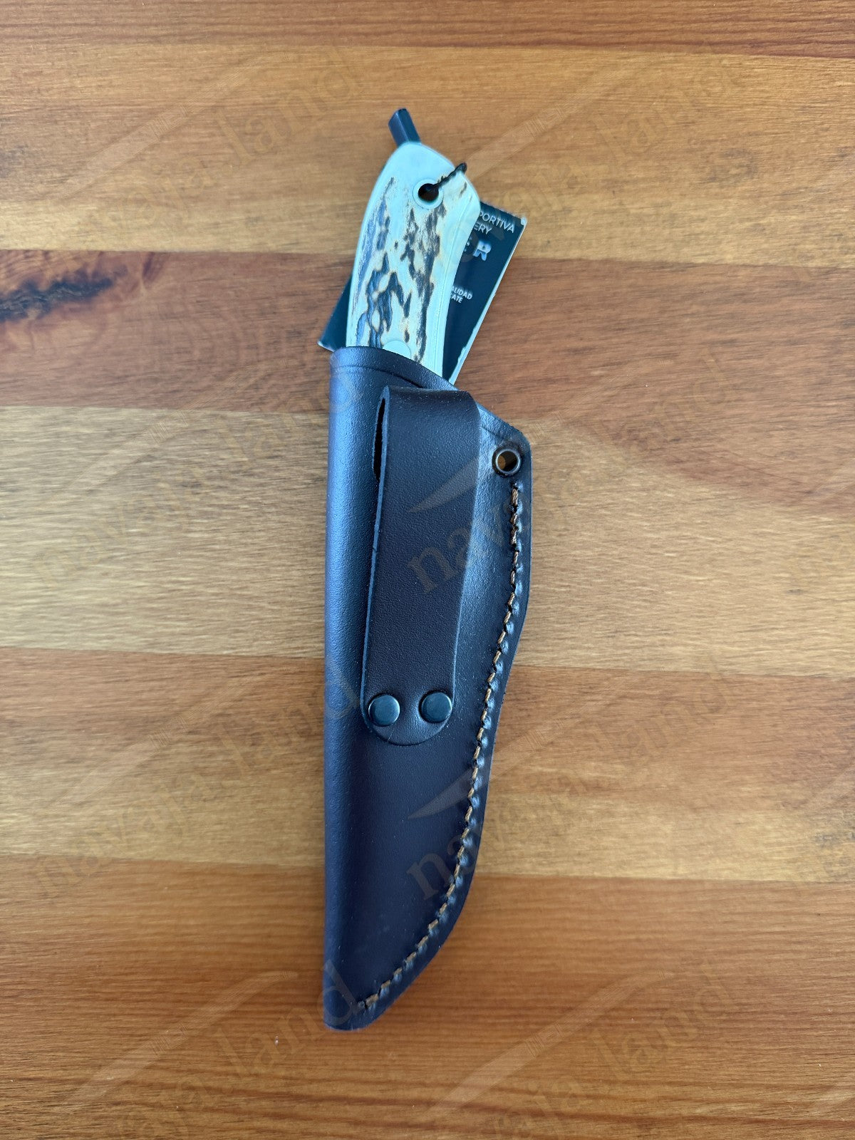 Joker Pantera Fixed Knife 3.7” MOVA Blade 🦌 Deer Antler Handle Leather Sheath