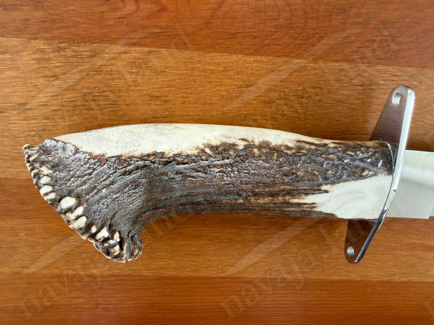 Joker Guepardo Hunting Knife – 11.81” Blade MOVA 1.4116 | Deer Antler Handle