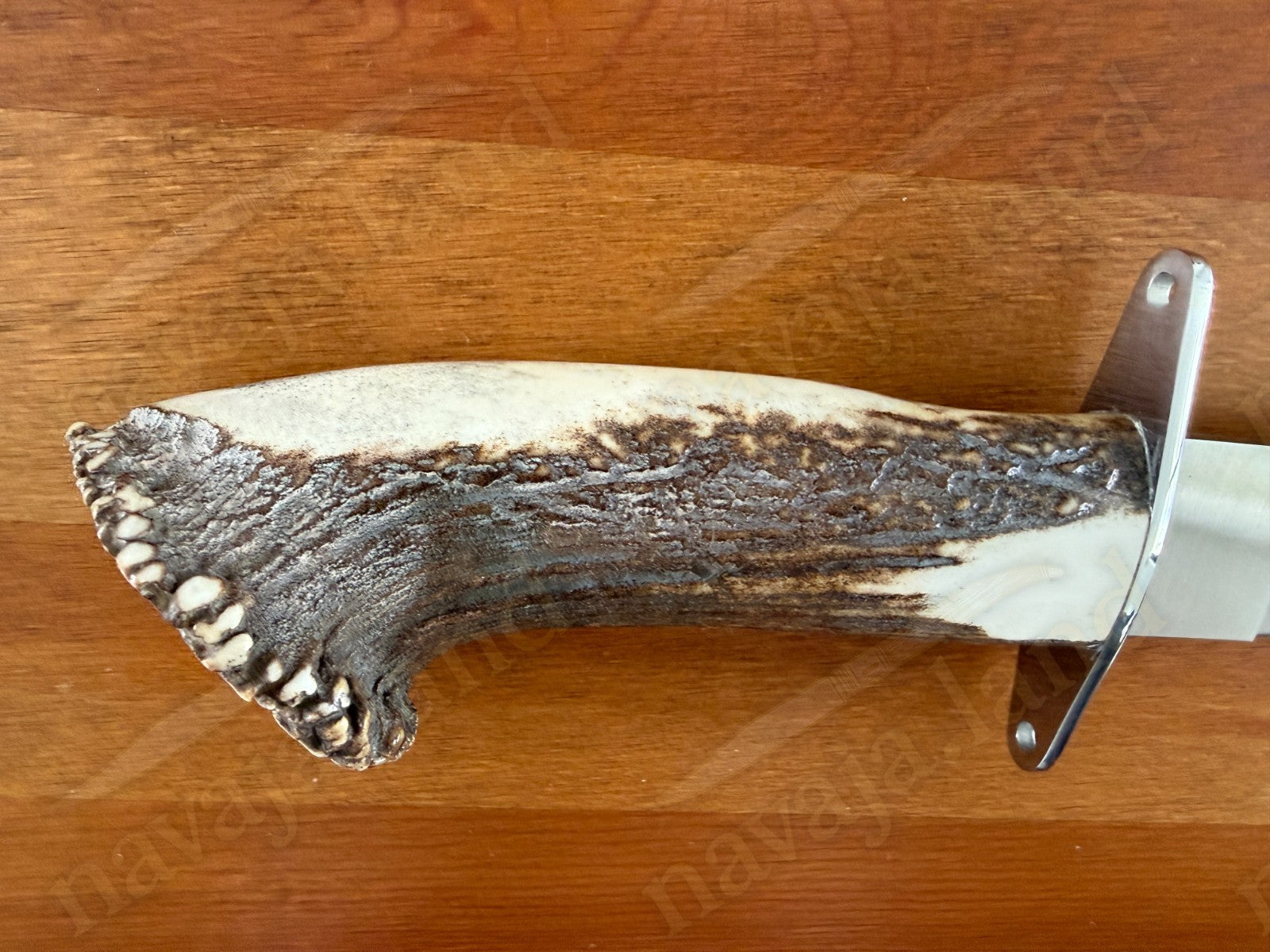 Joker Guepardo Hunting Knife – 11.81” Blade MOVA 1.4116 | Deer Antler Handle