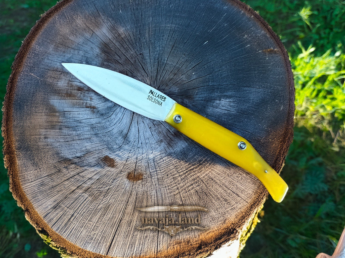 Pallares Solsona Pocket Knife Carbon Steel 3.5" / 9 cm Slipjoint EDC From Spain