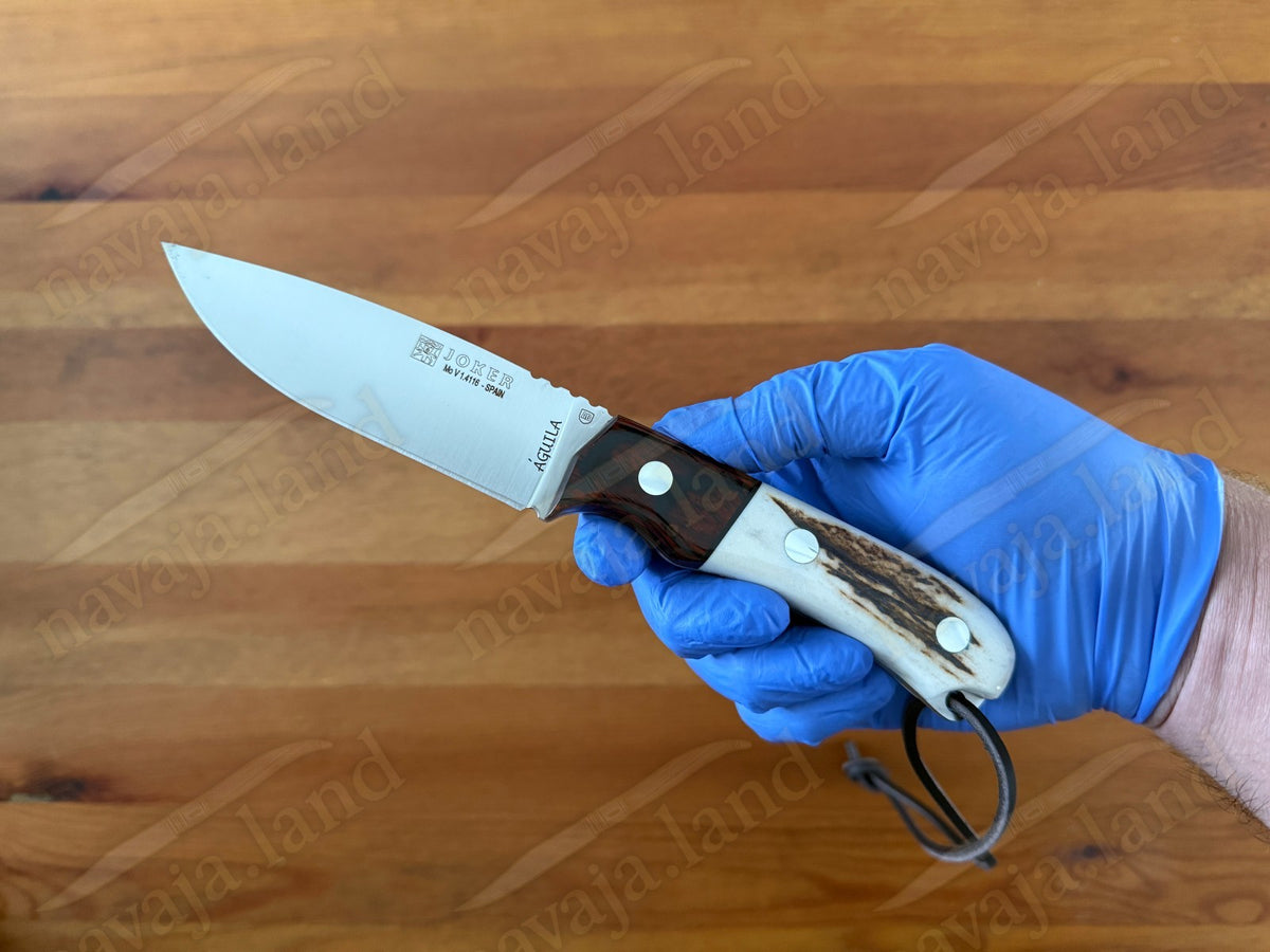 Joker Aguila Bushcraft Knife 3.34” MOVA Blade Deer Horn & Rosewood Handle