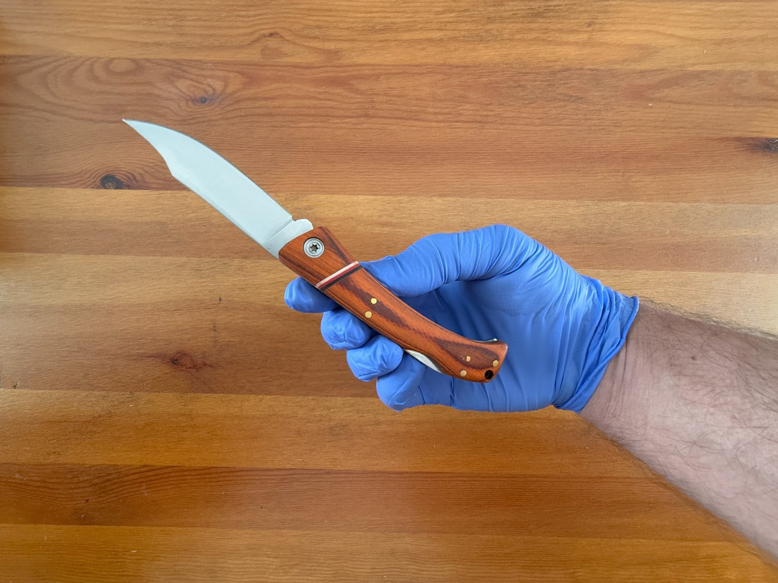 Folding Knife 7.5 cm (3 in) Stainless Steel Blade Lockback Pakkawood Handle