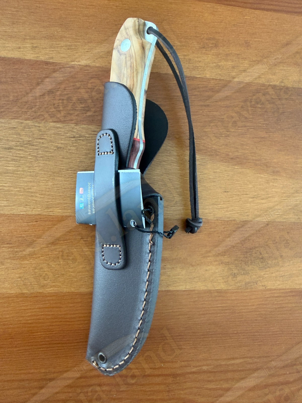 Joker Aguila Bushcraft Knife 4.13” MOVA Blade Olive Wood & Rosewood Handle