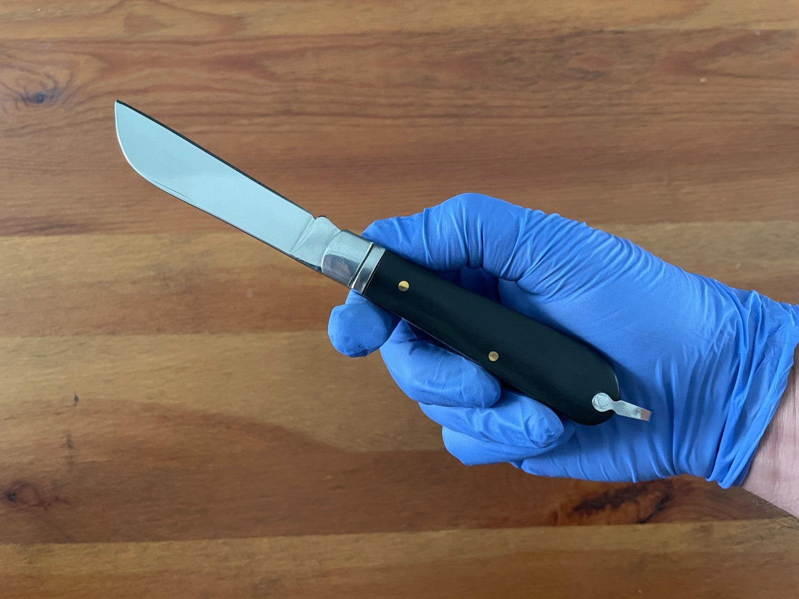 3.14" Sailor Marinera Folding Pocket Knife Parrot Tip Plastic Scales - Spain