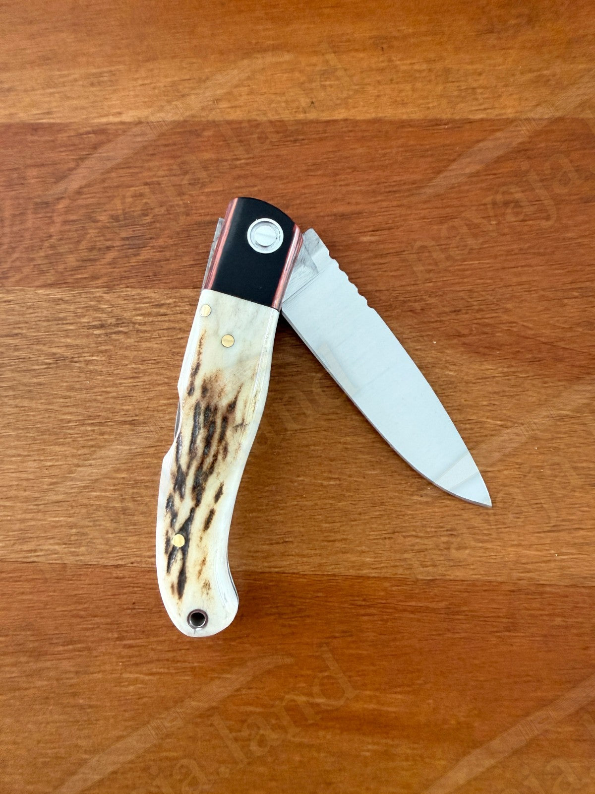 Joker Koala Pocket Knife 2.75” MOVA Blade Deer Horn Handle Grenadillo Ferrule