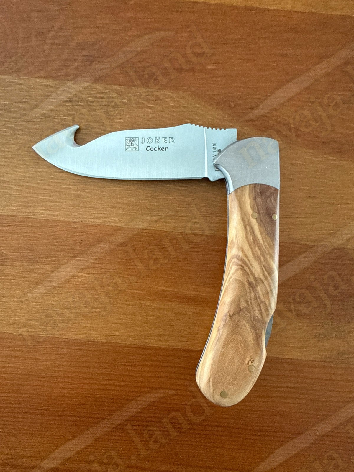 Joker Cocker Hunting Skinning Folding Knife 3.54” MOVA Blade Olive Wood Handle