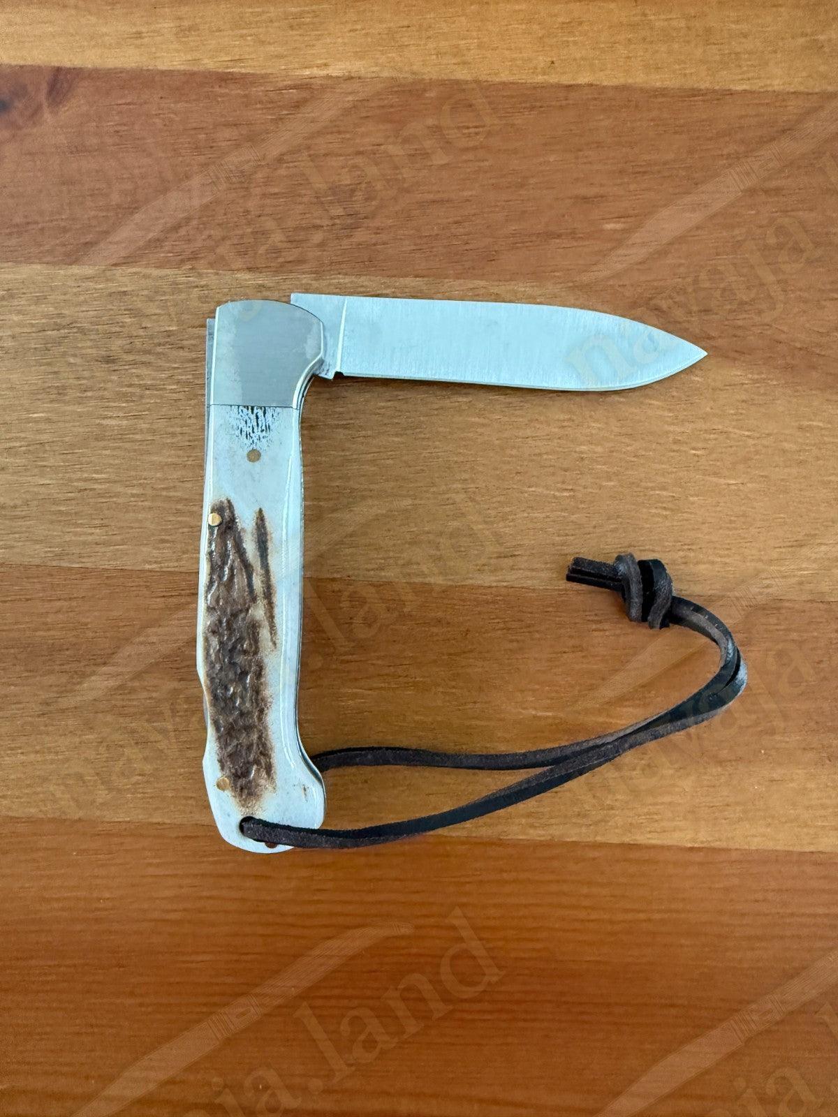 Joker Canguro Folding Knife 🦌 Deer Horn Handle 3.3” MOVA 1.4116 Stainless Steel