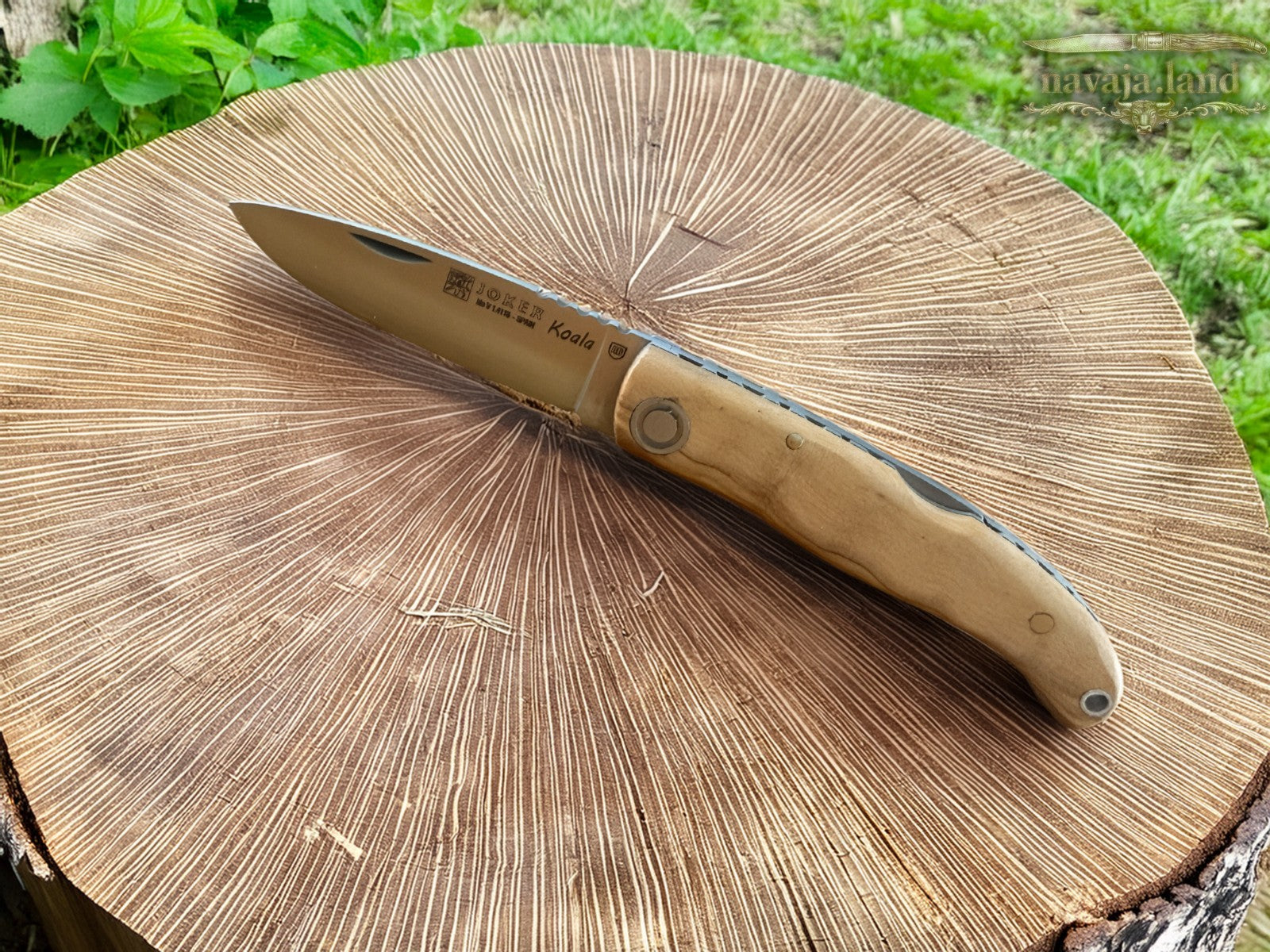 Joker Koala Pocket Knife 2.36” MOVA Blade Olive Wood Handle Handmade in Spain