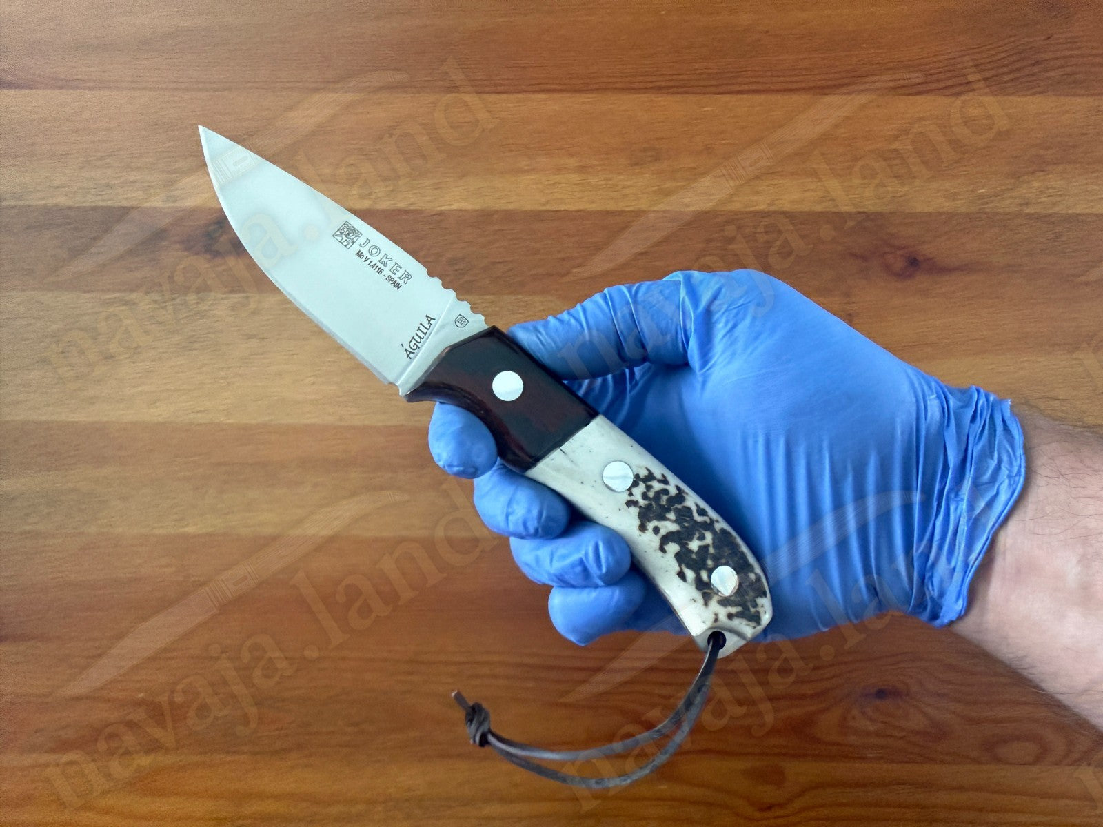 Joker Aguila Bushcraft Knife 3.34” MOVA Blade Deer Horn & Rosewood Handle
