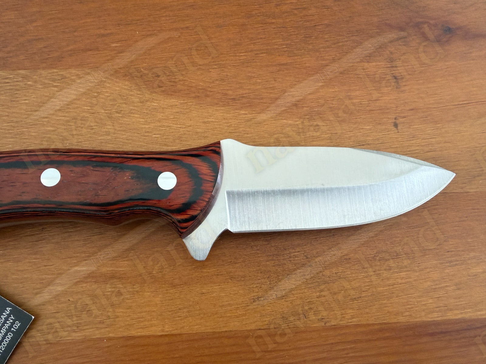 Joker Venado – Survival & Hunting Knife (Red Wood Handle) Made in Spain