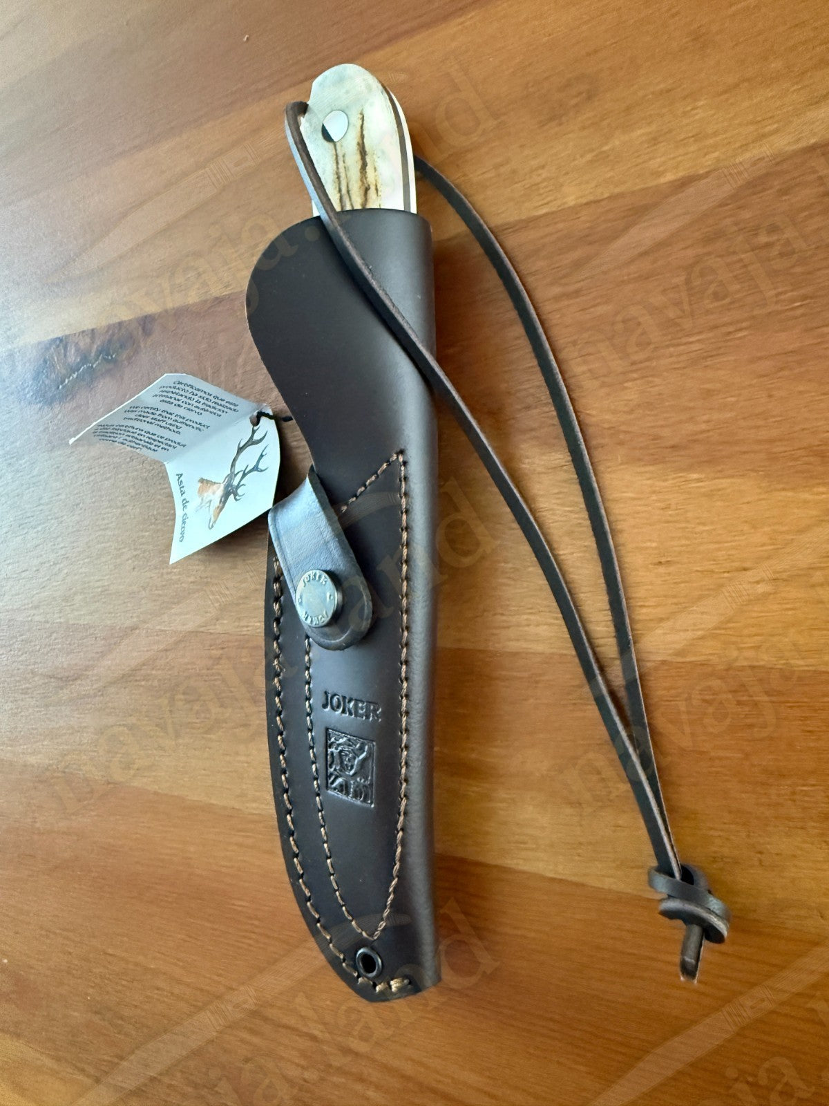 Joker Aguila Bushcraft Knife 3.34” MOVA Blade Deer Horn & Rosewood Handle