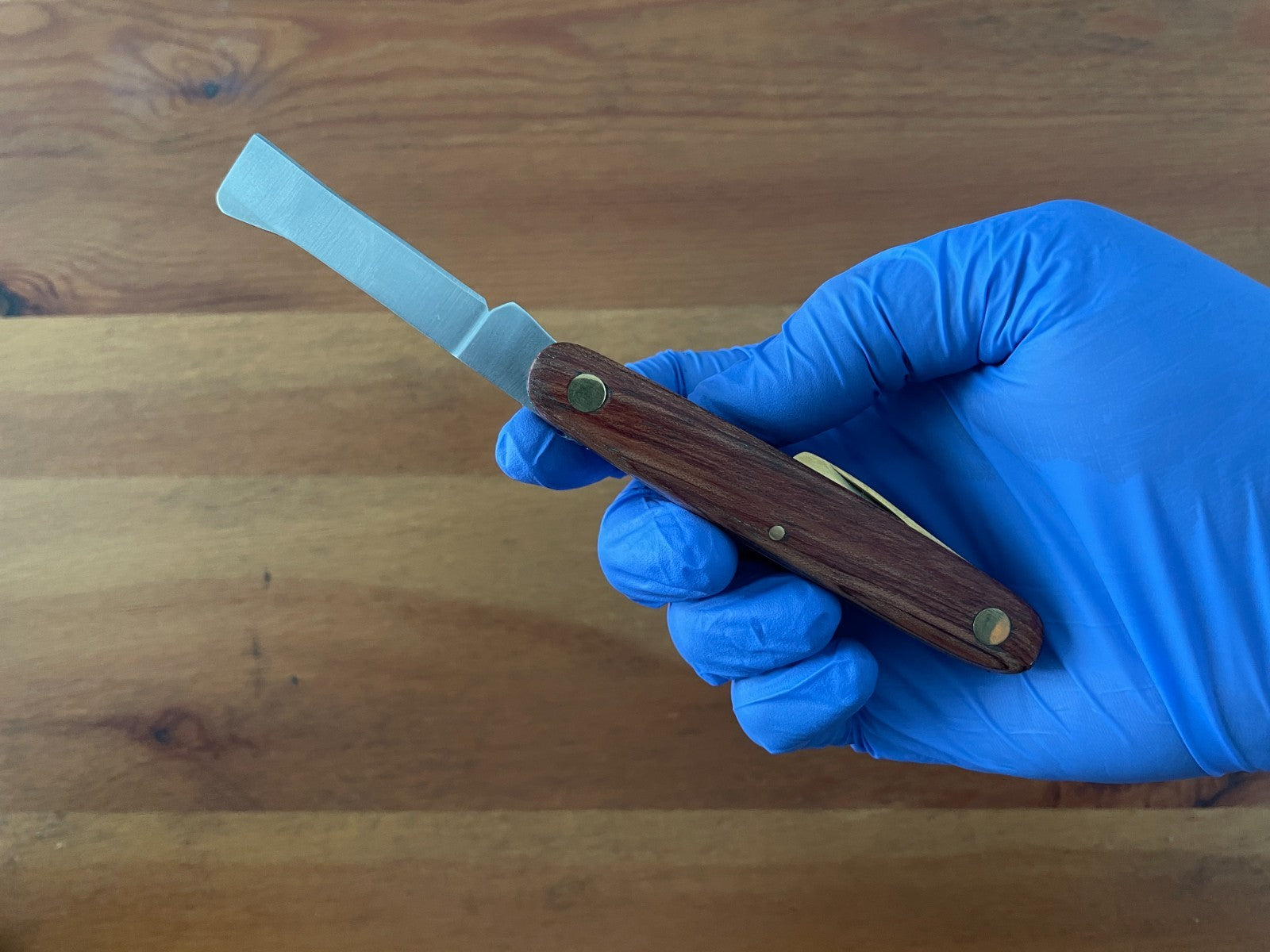 2.4" Grafting Navaja Pocket Knife 2nd Brass Blade with Rosewood Handle - Spain