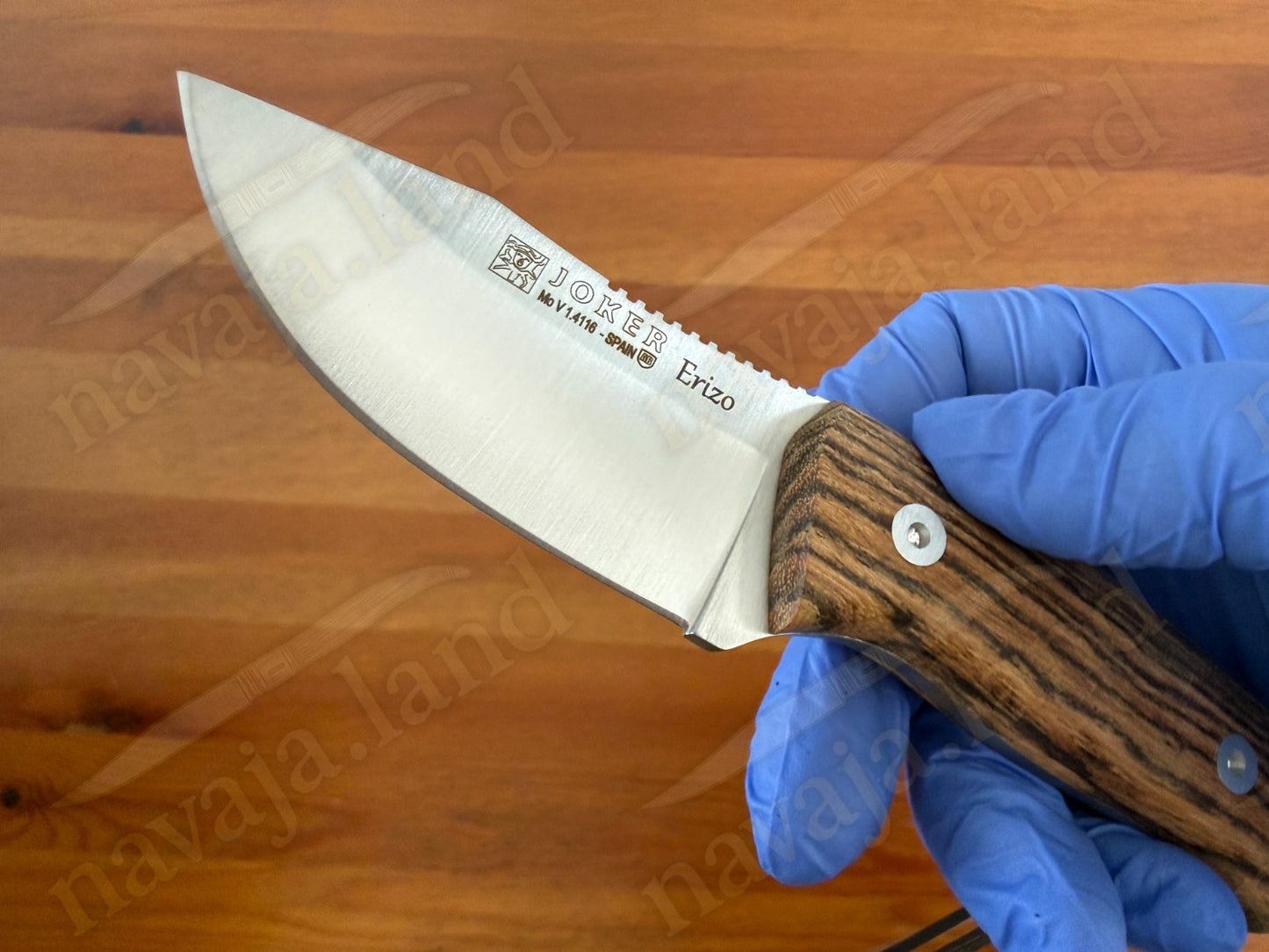Joker Erizo 3" Stainless Steel MOVA 1.4116 Fixed Knife Bocote Wood Handle Spain
