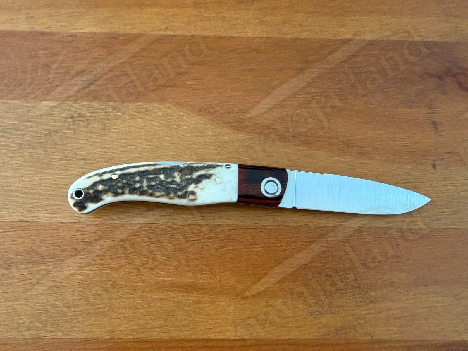Joker Koala Pocket Knife 2.75” MOVA Blade Deer Horn Handle Grenadillo Ferrule