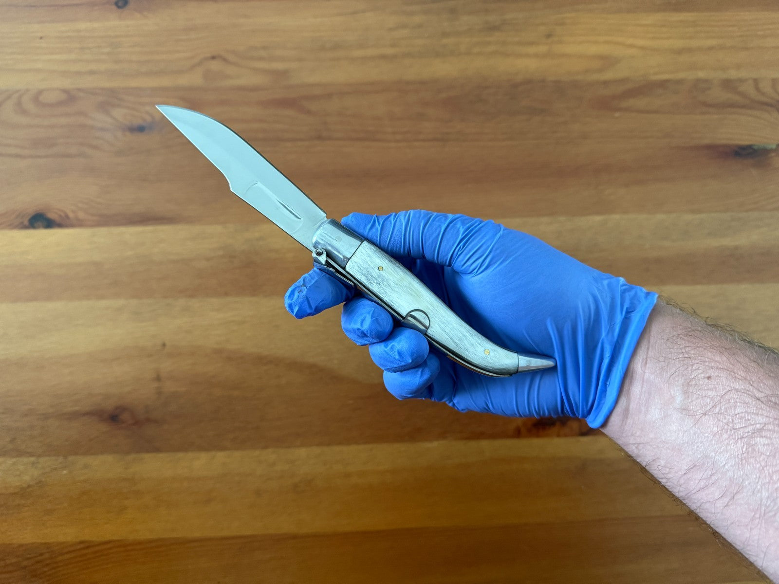 3.7" Spanish Navaja Teja Albacete Folding Pocket Knife Genuine Bull Horn Scales