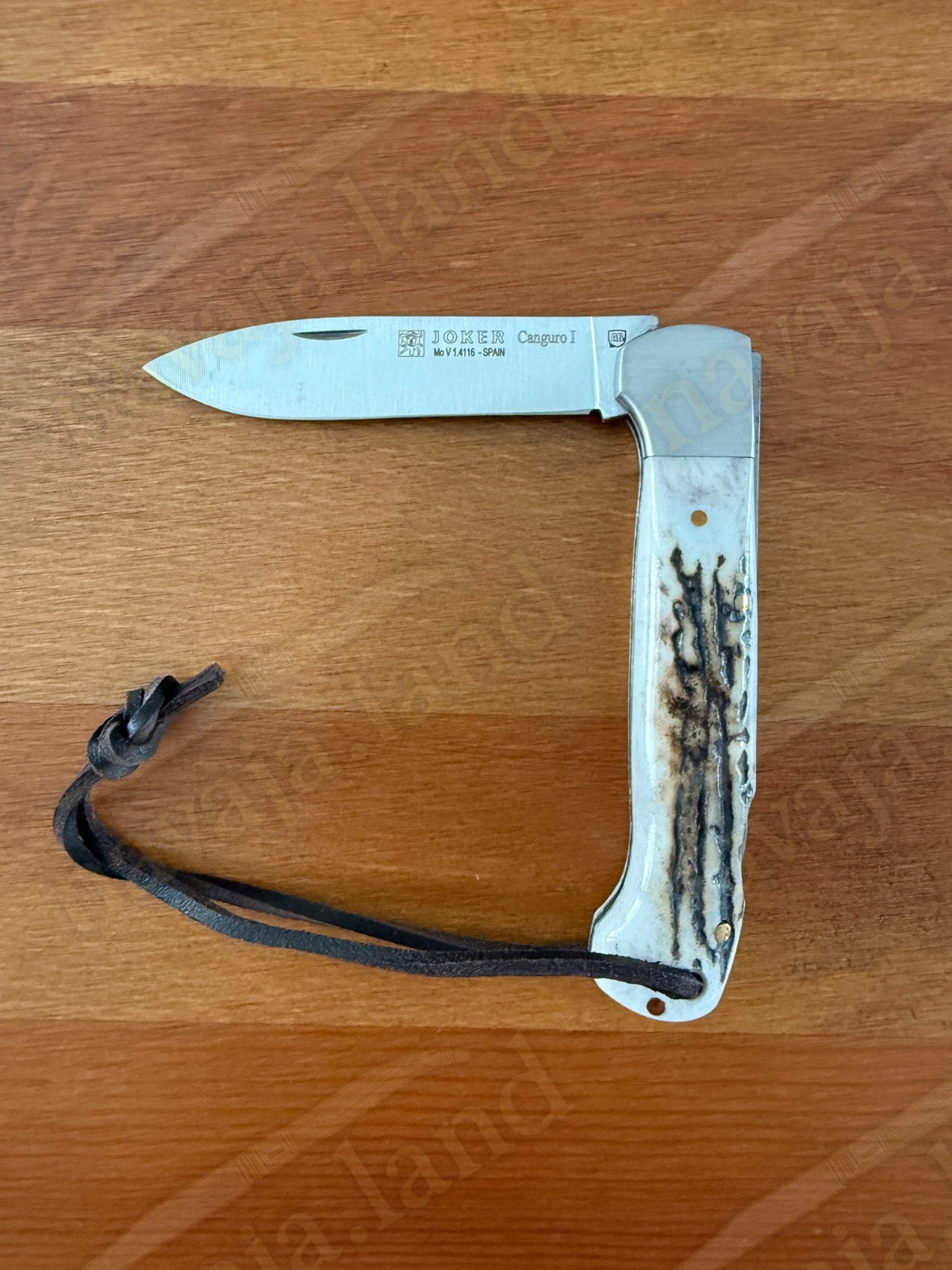 Joker Canguro Folding Knife 🦌 Deer Horn Handle 3.3” MOVA 1.4116 Stainless Steel