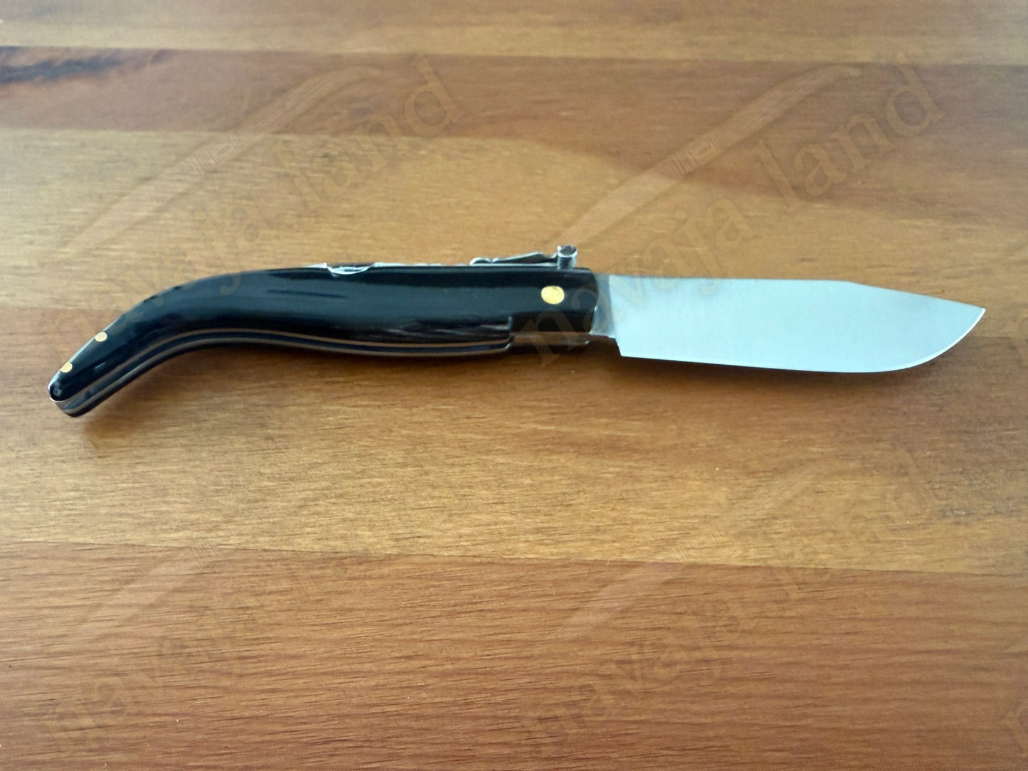 3.2” Joker Pastora Folding Knife Buffalo Horn Handle MOVA 1.4116 Stainless Steel